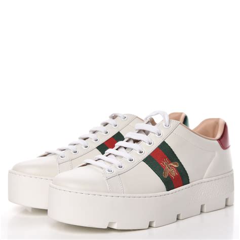 Gucci ace trainers women's